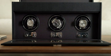 Everything You Need to Know About Watch Winders
